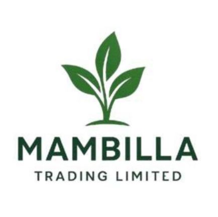MAMBILLA TRADING